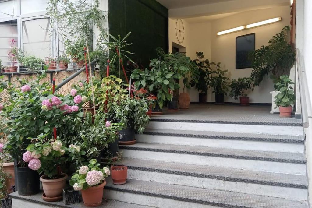 Pazari_Ri_Studio Apartamento Tirana Exterior foto